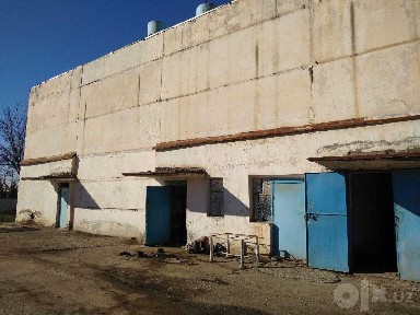 Jizzax viloyati, Paxtakor tumanida ishlab chiqarish zavodi sotiladi.