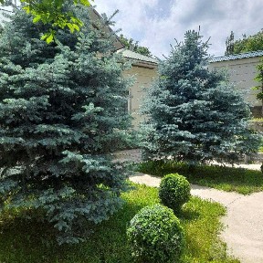 Ташкентская область, Чарвак