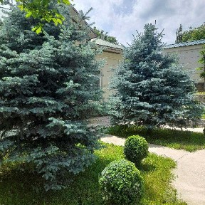 Продается прекрасный дом у озера. Сиджак.