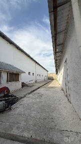 Ташкентская область, Кибрай