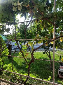Дом Аэропорт мост, 7 соток Азербайджан центр