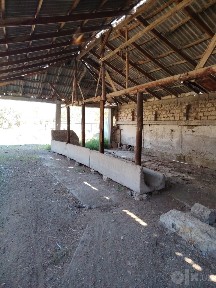 Уй жой ва ижара ҳуқуқи асосида чорвачилик учу.е.  майдони Сотилрдарё в