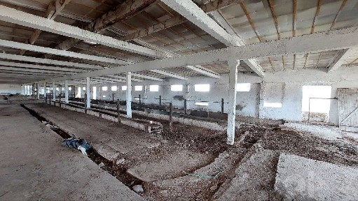 Сырдарьинская область, Сырдарья