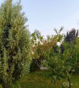 Срочно сдается шикарный Евро-Дом Мирзо-Улугбек р-н 8-соток 2-этажный