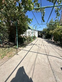Сырдарьинская область, Сырдарья