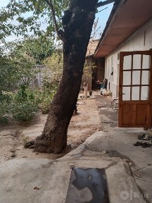 Ташкентская область, Ташкент, Учтепинский район