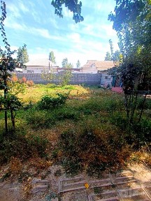 Ташкентская область, Янгибазар