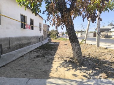 Hovli tuzel 5 sotix sotiladi