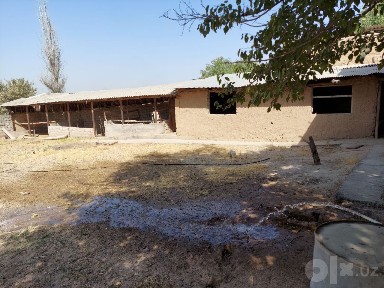Qushqondi zangota tumani