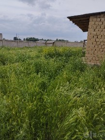 Ташкентская область, Ташкент, Сергелийский район