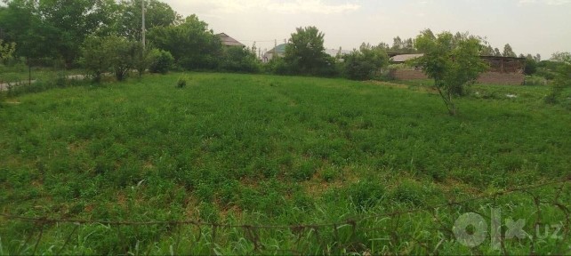 Ташкентская область, Ташкент, Мирзо-Улугбекский район