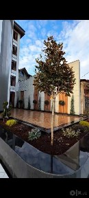 Продается здание под гостиницу в Яккасарайском районе