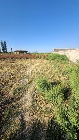 Ташкентская область, Ташморе