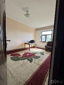 Qarshi tuman Avrora