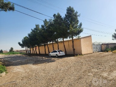 Парник арендага берилади тайор бизнез