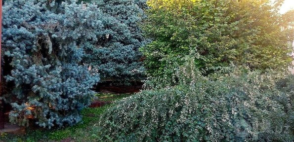 Продается участок в районе ул. Хирмонтепа (Никитина)