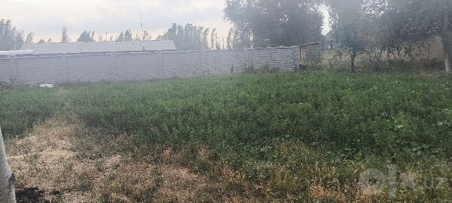 Uchastka sotiladi 6 sotik