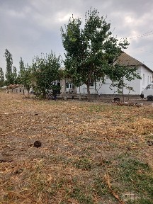 Uy sotiladi 26 sotixlik