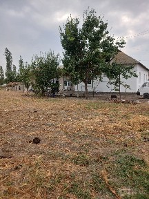 Uy sotiladi 26 sotixlik