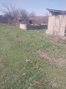 Продаю дачу юкоры чирчик посёлок курсай 6соток земли