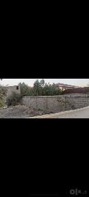 Oqtosh dacha sotiladi