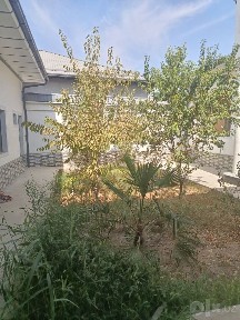 Ijaraga uy beriladi Manzil Yangi toshkent