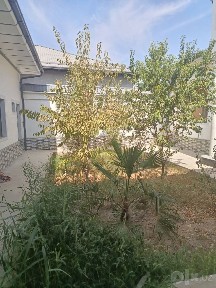 Arenda Ijara Yuqori Chirchiq Yangi toshkent yangi Uzbekiston