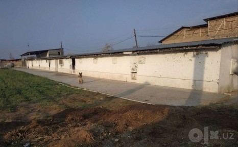 Тошкент тум Келес Новоида 48 соти жой сотилади каттеж учун таййор жой