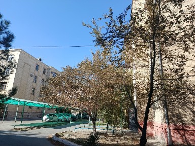 Квартира ижарага берилади 5мкрн Арбита 3хона