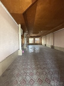 Arenda uchastka. Mirzo ulug'bek rayon dormon uchxoz