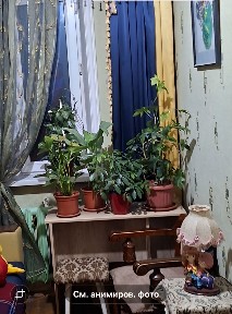 Сдаётся одна комната в 3-х комнатной квартире с хозяйкой. ЦЕНТР, Дархан