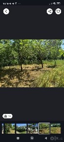 Уй 16 соток срочно сотилади