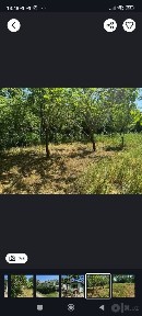 Уй 16 соток срочно сотилади