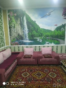 Пущу одного человека мужчина на подселение