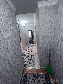 Коратош 2/5/9 аренда