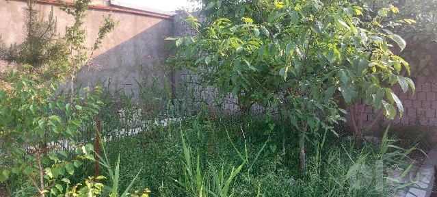 Дача, уй ховли, цех производства на 4 соток