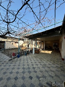 Ховли уй сотилади 6 сотик