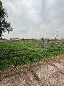 Продаётся территория под строительство ЖК, коттеджный городок или ЧШ.