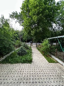 Аренда СВОЯ массив эльбек напротив ЖК Инфинити