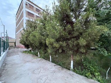 Срочно. продается 2комнатная квартира 1 этаж с подвалом.