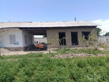 Toshkent dengizi atrofidan 30 soʻtxli kadastr xujatlariga ega xovli