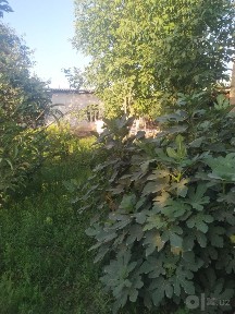Продаётся земля 6 соток