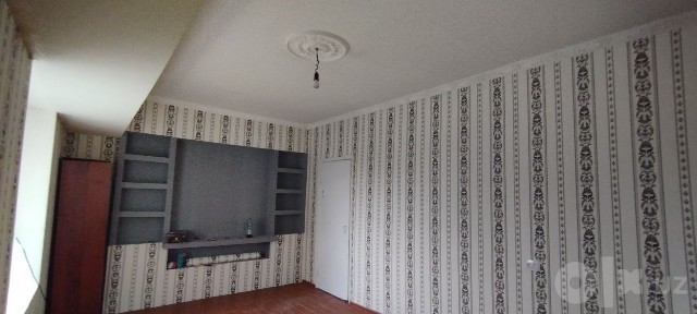 Qora qamish 2/3 grilbarga yetmasdan