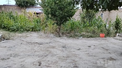 Ховли 5 сотик 26000