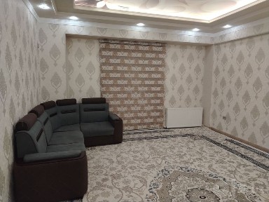 Арнда долгосрочная. Ташкент