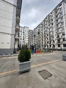 Новастройка палма дом Тошми битонка 3 хона