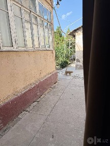 Ташкентская область, Ташкент, Юнусабадский район