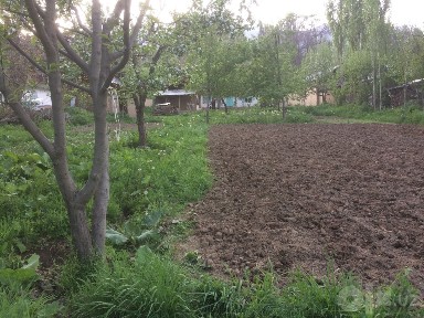 Uchka sotiladi 13.4 sotik srochna