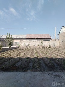 Sergeli qirariq laylak mahalla