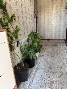 Ташкентская область, Ташкент, Юнусабадский район
